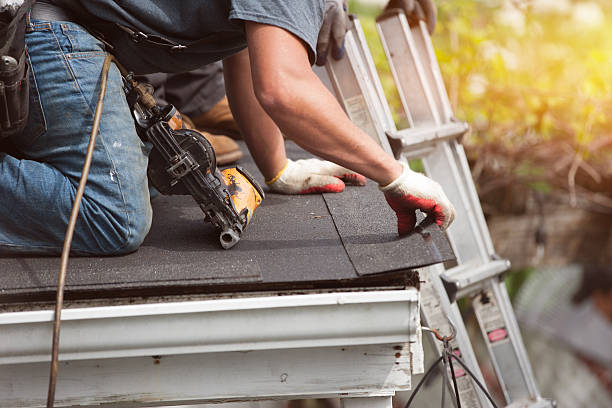 Best Roof Gutter Cleaning  in Matta, WA